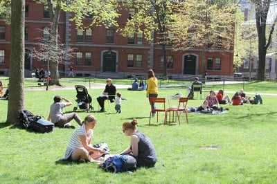 Cover image for Studying in the Sunshine