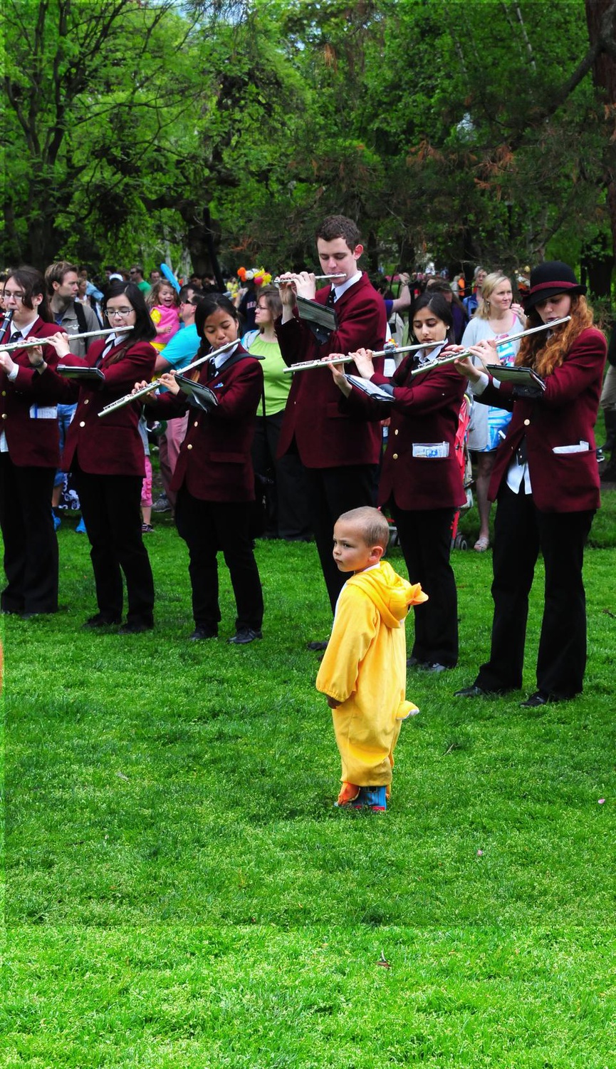 The Harvard University Band leads the Duckling Day Parade with a little help. Duckling Day is an annual event held to benefit the Boston Public Garden. 