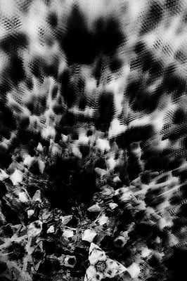Cover image for 