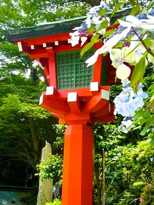 Cover image for 