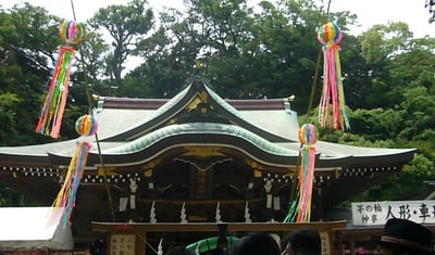 Cover image for 