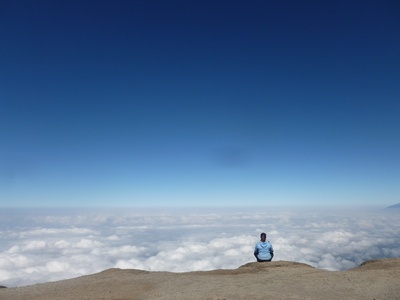 Cover image for 