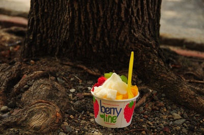 Cover image for Froyo Throwdown: A Case for Berryline