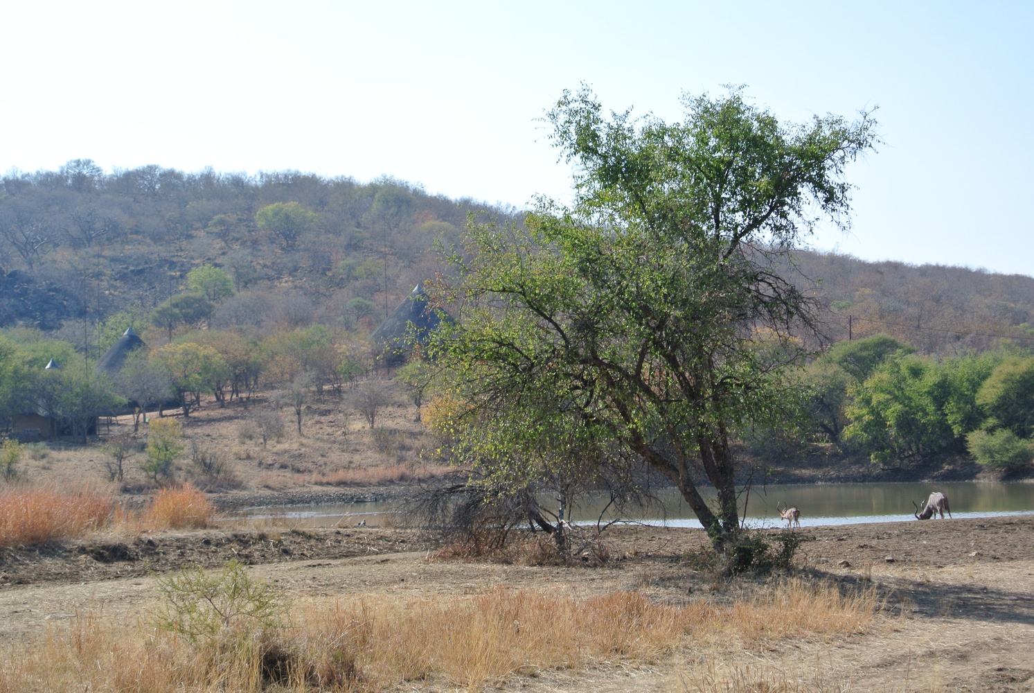 Mokolodi Nature Reserve
