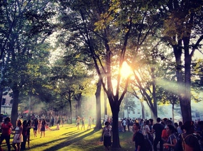 Cover image for If You're a Harvard Freshman, You're Probably a Virgin