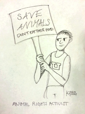 Cover image for 