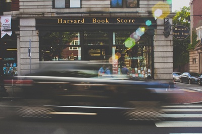 Cover image for The Great Wizard of Books