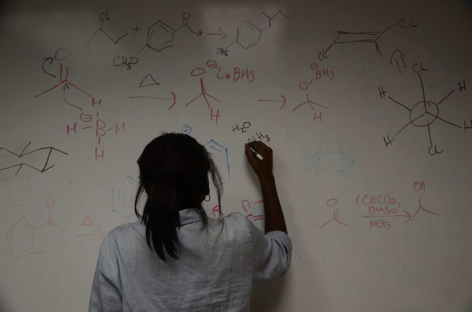 The Pre-Med in its natural habitat: in front of a white board, working through a jumble of formulas indecipherable to the lay student.