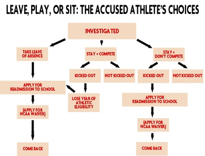 Cover image for Gov 1310 Flow Chart
