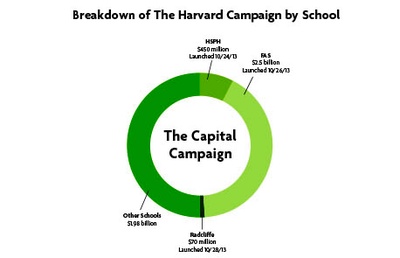 Cover image for A Small Chunk of the Campaign