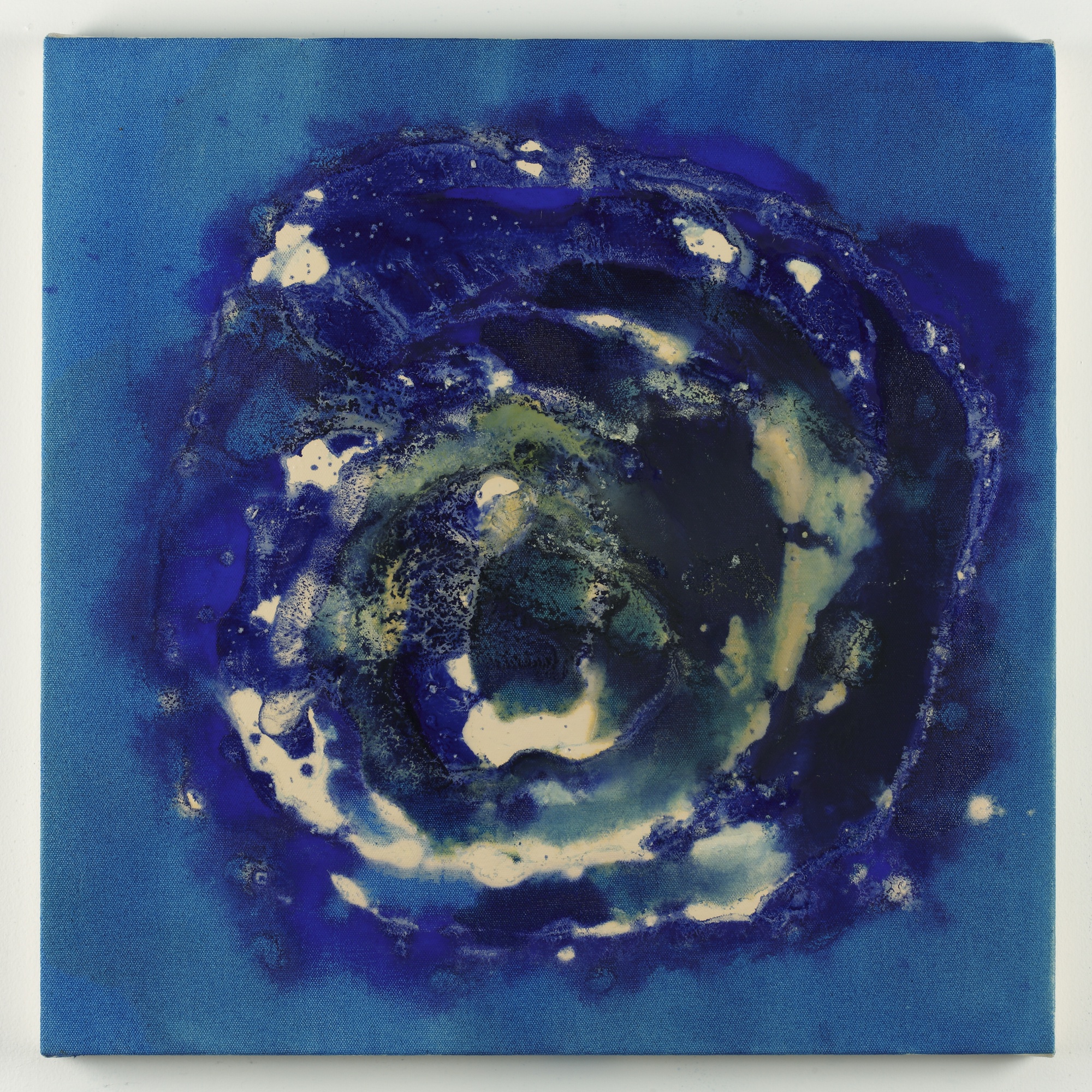 Elise Adibi's exhibit opens at Byerly Hall on Wednesday.
