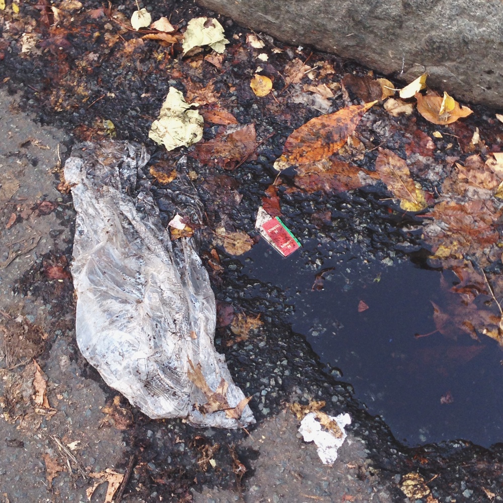 Ah, a seasonal mix of mud, dead leaves, plastic bag, and is that—yes, it is!—a soy sauce packet from Lamont Café! #HarvardinAutumn