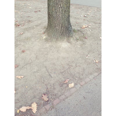 Cover image for 