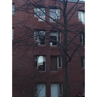 Cover image for 