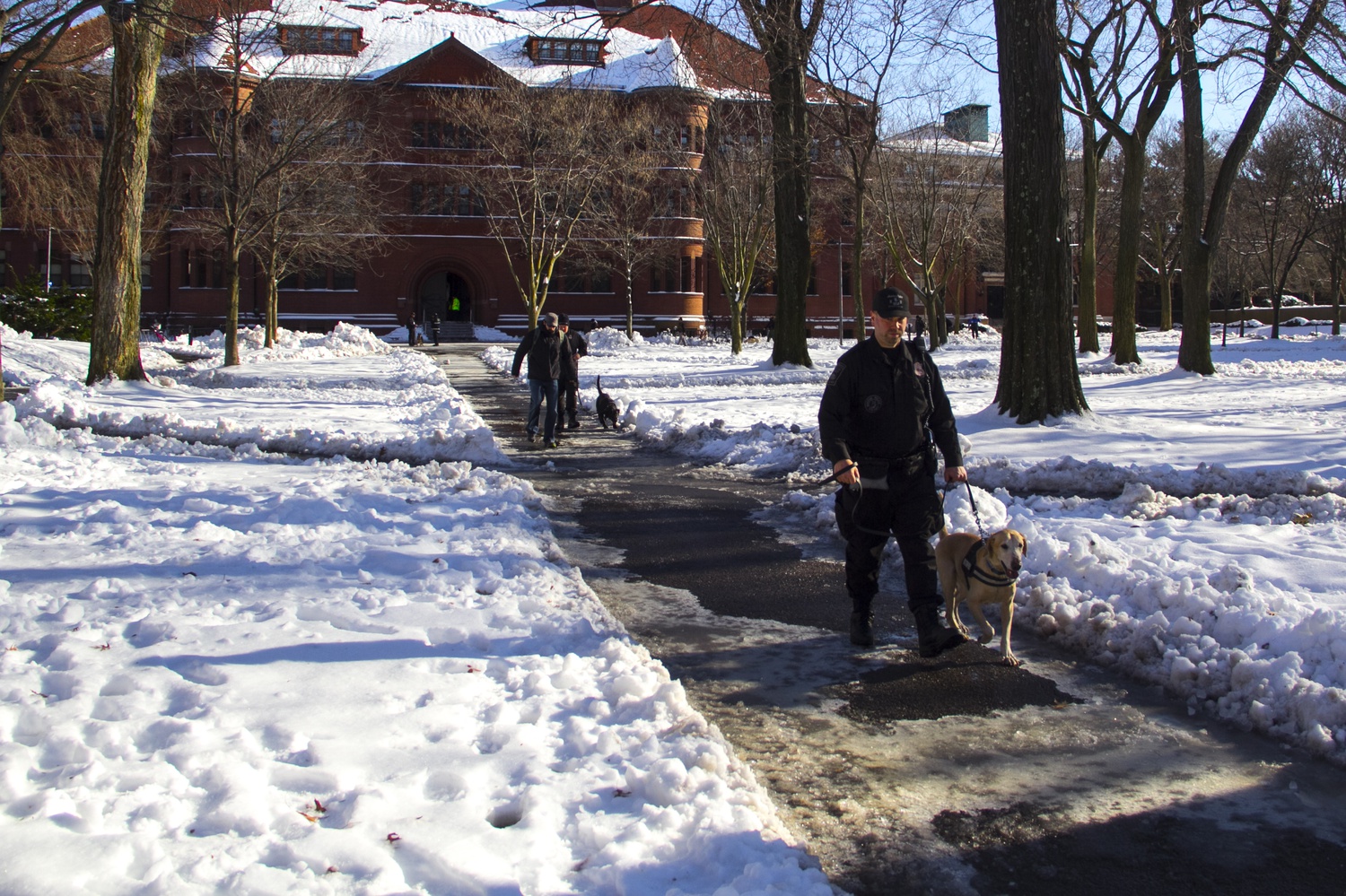 Boston Police bomb squad units leave Sever Hall after checking the premises for any bomb threats.