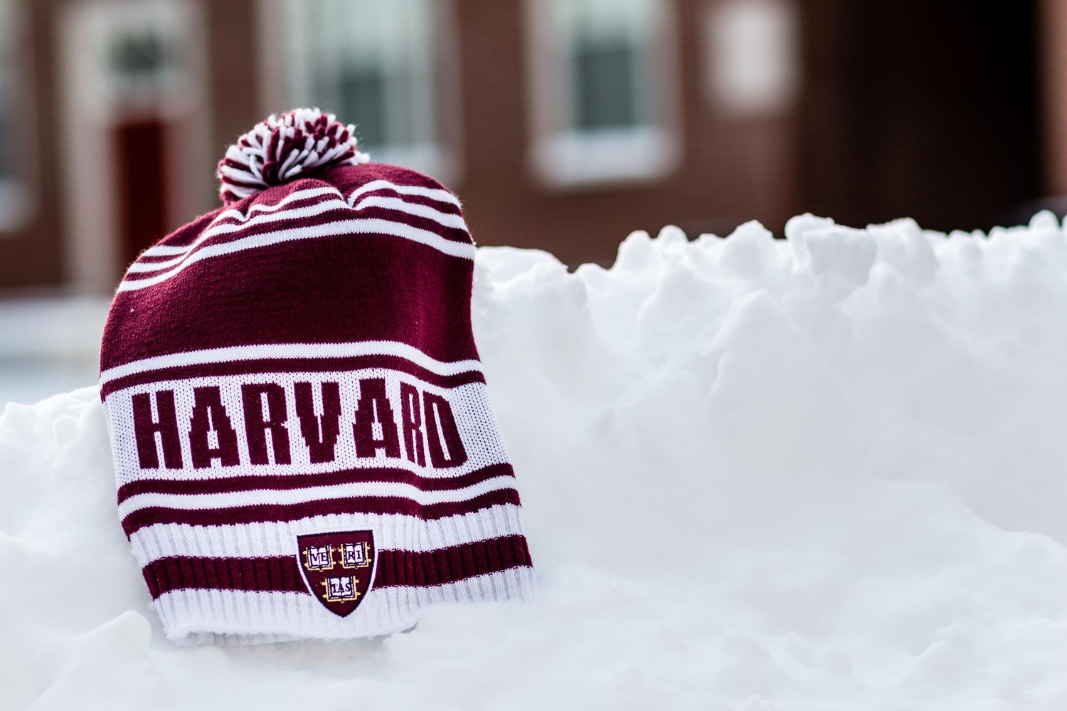 Hats and gloves were a common sight as a new snowstorm greeted students for the upcoming spring semester. Many flights were cancelled and delayed because of difficult weather conditions that inhibited take-off and landing.