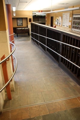 Cover image for Accessing Harvard