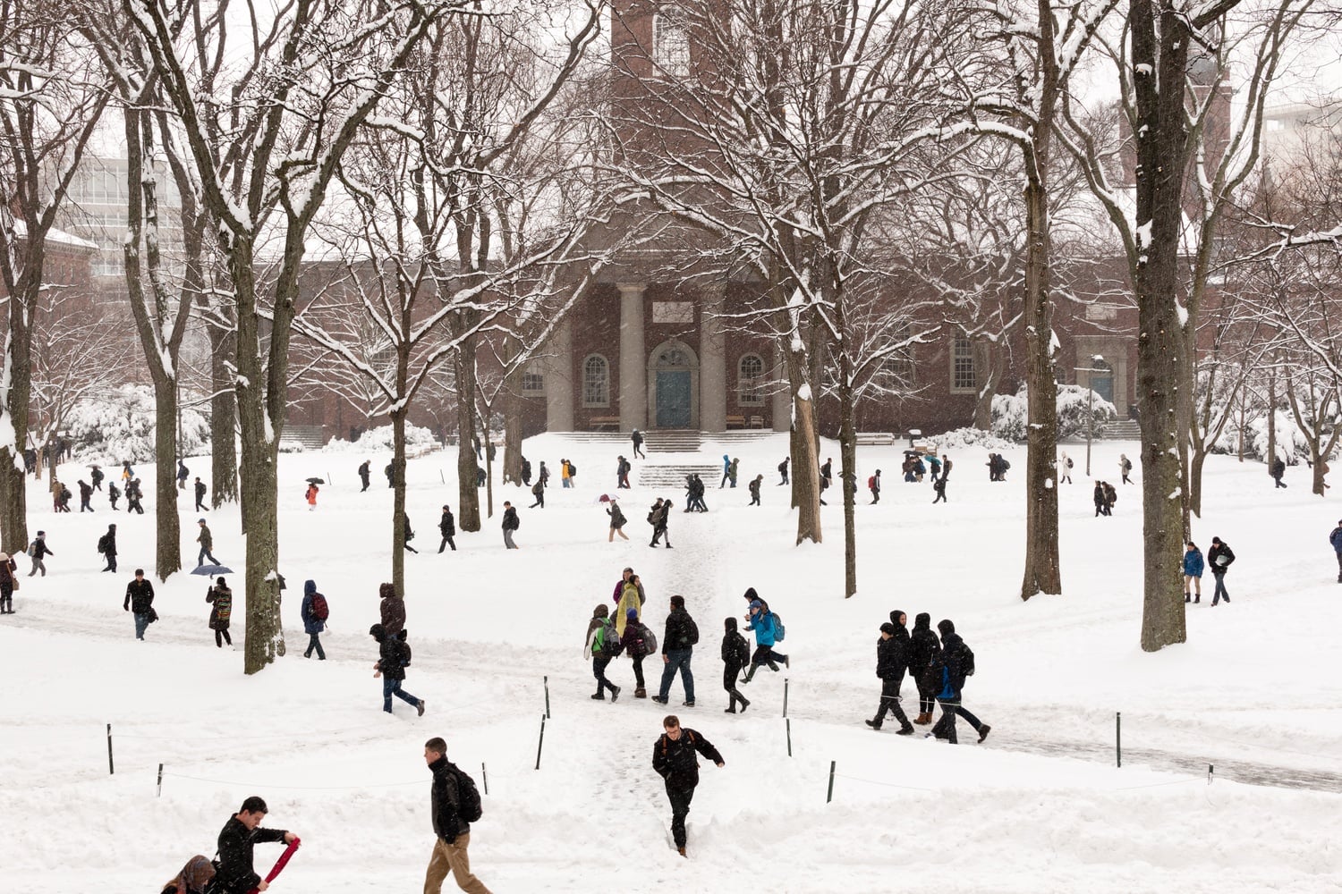 Snow blankets Harvard Yard.