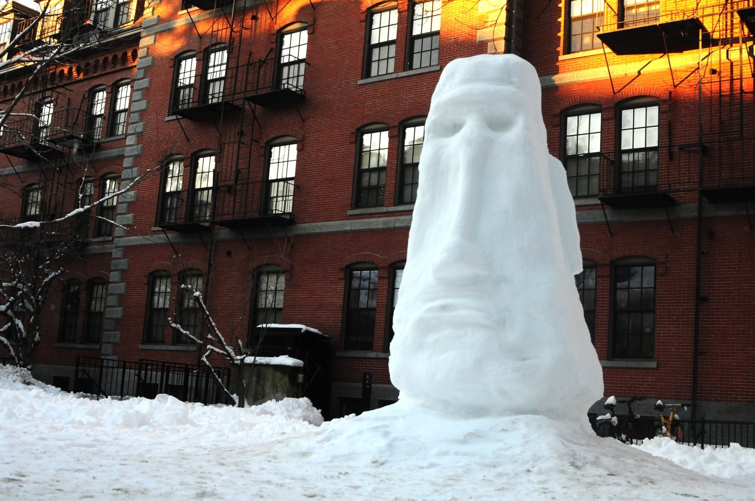 Harvard freshmen sculpted an Easter island head behind Grays Hall during the snow storm that hit Cambridge on Feb. 5. 