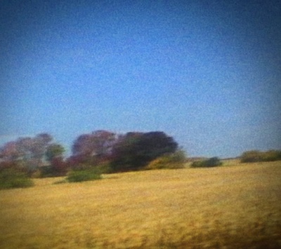 Cover image for “Benji” Takes A Haunting Trip Into The Macabre