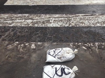 Cover image for The UC Will Keep Your Feet Dry
