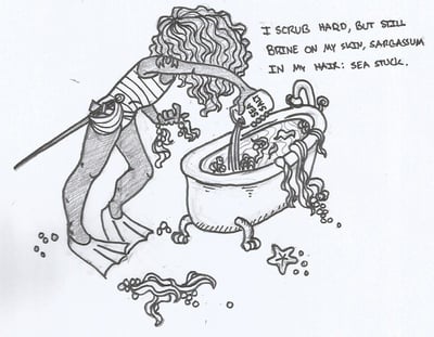Cover image for Seastuck