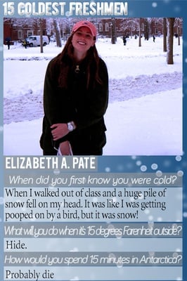 Cover image for Fifteen Coldest Freshmen