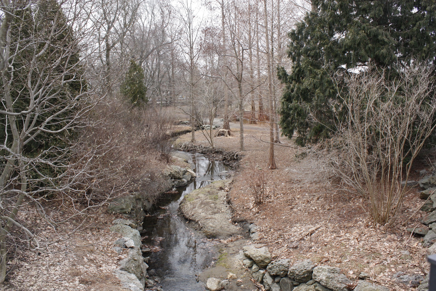Bussey Creek lies at the entrance to the Arnold Arboretum in Boston.