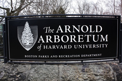 Cover image for Welcome to the Arboretum