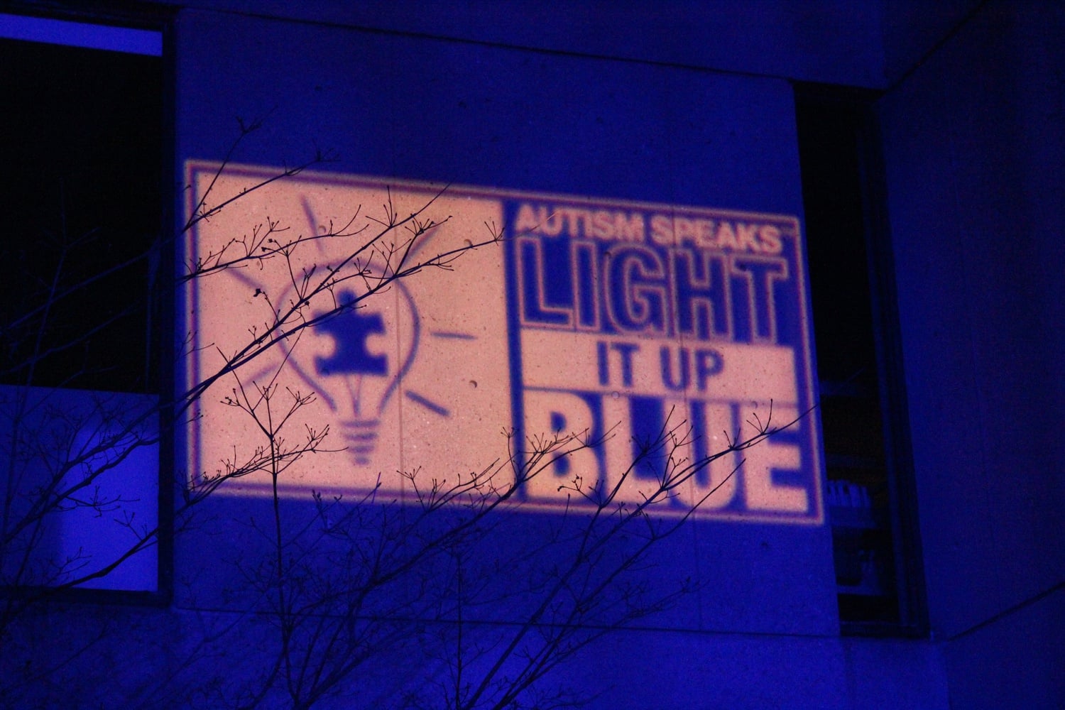 Celebrating World Autism Awareness Day, the Harvard Graduate School of Education lights the Gutman Library in blue on Wednesday night. The library's illumination is part of a global initiative.