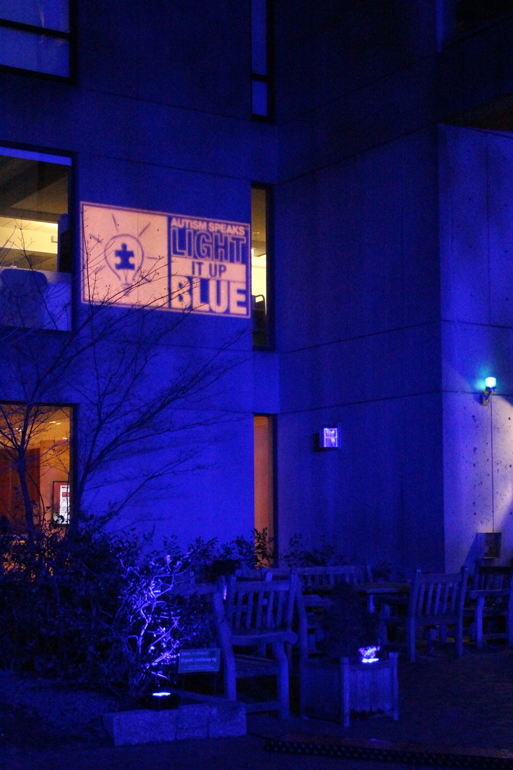 Celebrating World Autism Awareness Day, the Harvard Graduate School of Education lights the Gutman Library in blue on Wednesday night. The library's illumination is part of a global initiative.