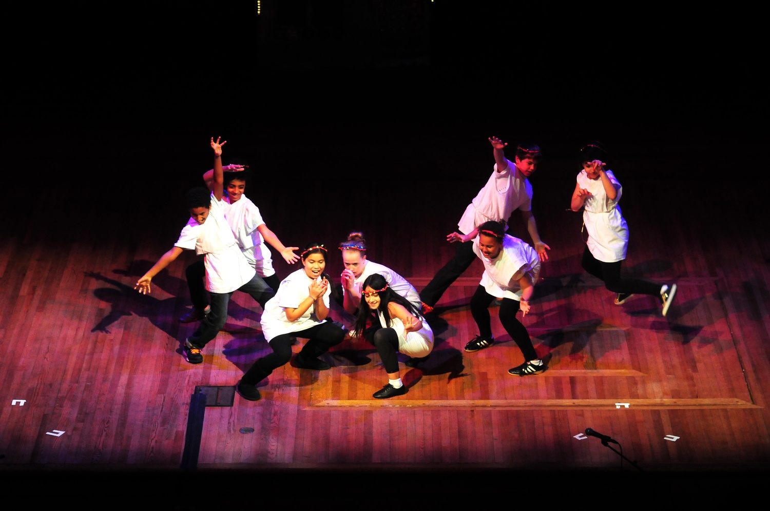 Cambridge Public School students showcase their dance skills in the 30th anniversary CityStep performance, CityStep Time Machine, in Sanders Theatre on Saturday.  
