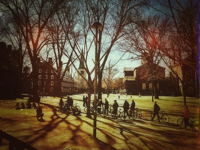Cover image for What to Do Now Spring is Here!