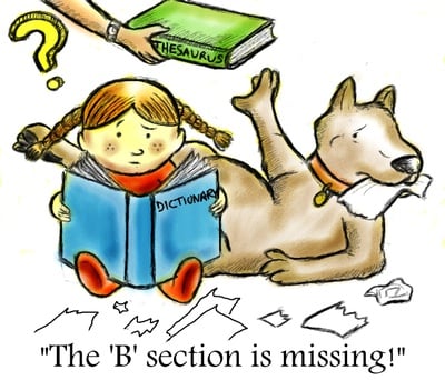 Cover image for Dictionary