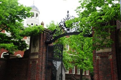 Cover image for What Your Admissions Letter Didn’t Tell You
