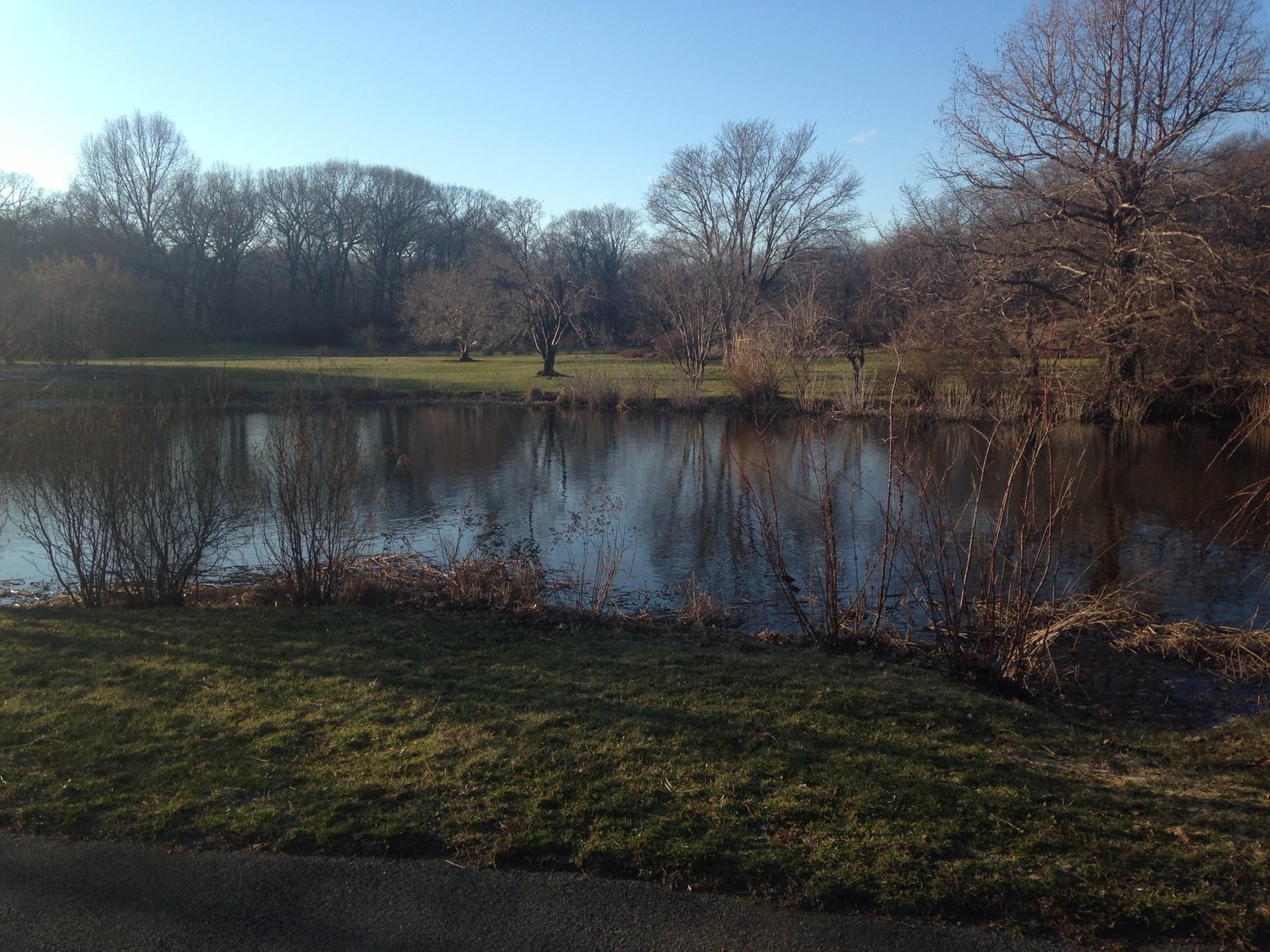 A view of Harvard's Arnold Arboretum, which was designed by Frederick Law Olmsted, who is most famous for New York City's Central Park.