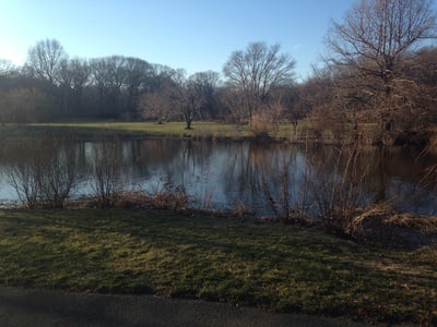 Cover image for Arnold Arboretum 2