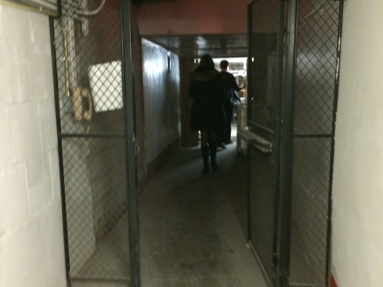 The real steam tunnels—get here, you can get anywhere on campus underground.