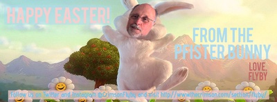 Cover image for pfister bunny