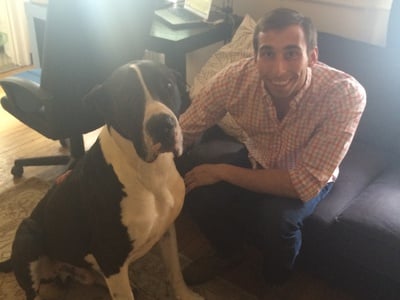 Cover image for Legal Pets: A 140lb Dog in Wigg