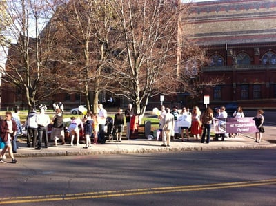 Cover image for Puppet Protest