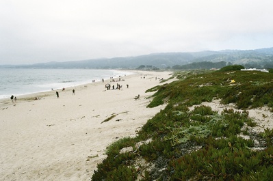 Cover image for Land of Fog