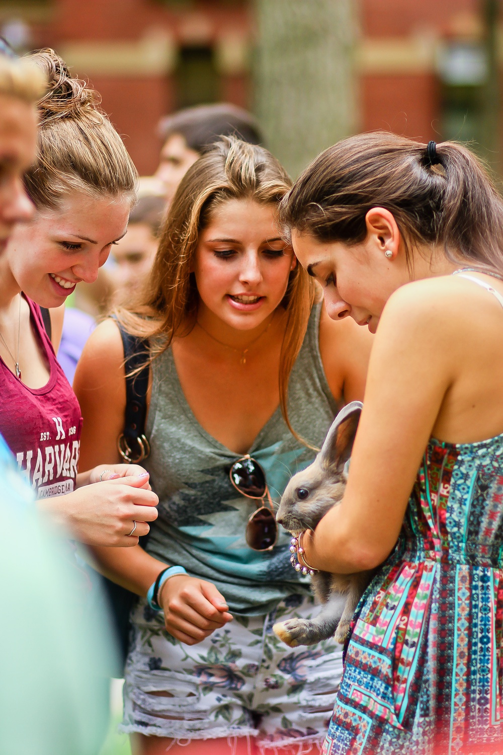 Nayiri Ayanian '18 shows off to her fellow classmates one of the rabbits from the Crimson Key Society-sponsored petting zoo event, held on Sunday afternoon in Harvard Yard. 