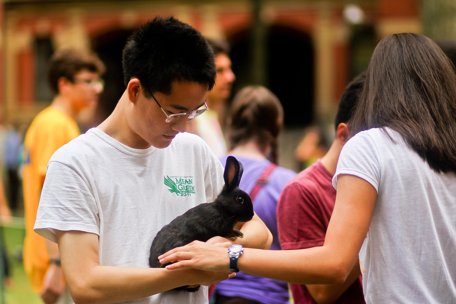 William Wu '18 cradles a black rabbit at the Crimson Key Society-sponsored petting zoo on Tuesday.