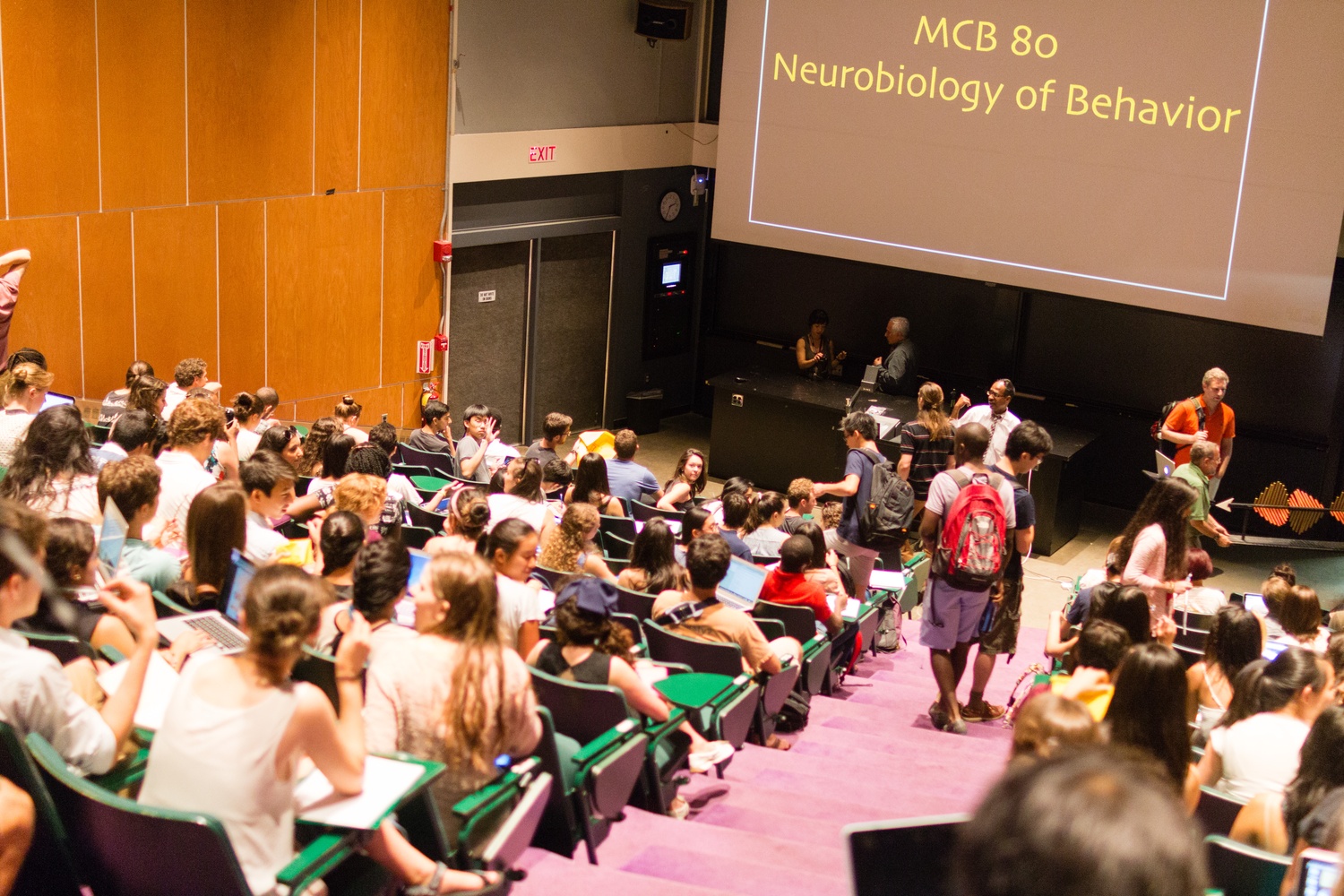 Students gathered in lecture halls across campus on the first day of class on Tuesday. Some professors said that pre-term planning numbers were not an accurate predictor of course enrollment.