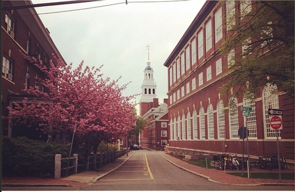 Cover image for Lowell
