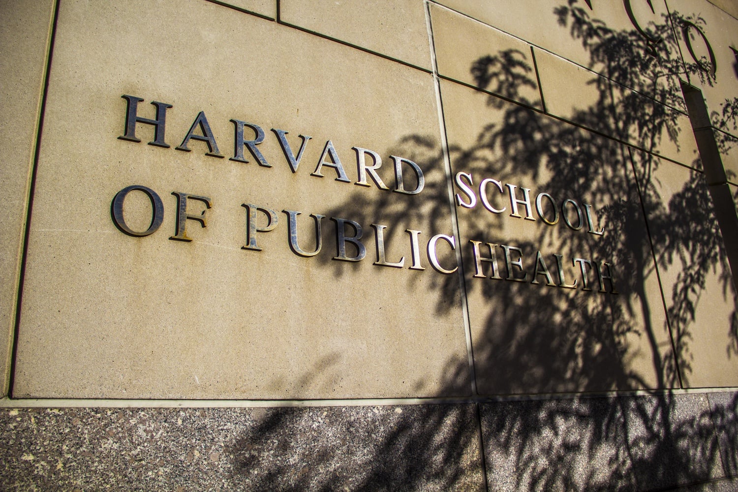 Harvard's T. H. Chan School of Public Health researchers found that Moderna's coronavirus vaccine is slightly more effective than Pfizer's at preventing negative Covid-19 outcomes.