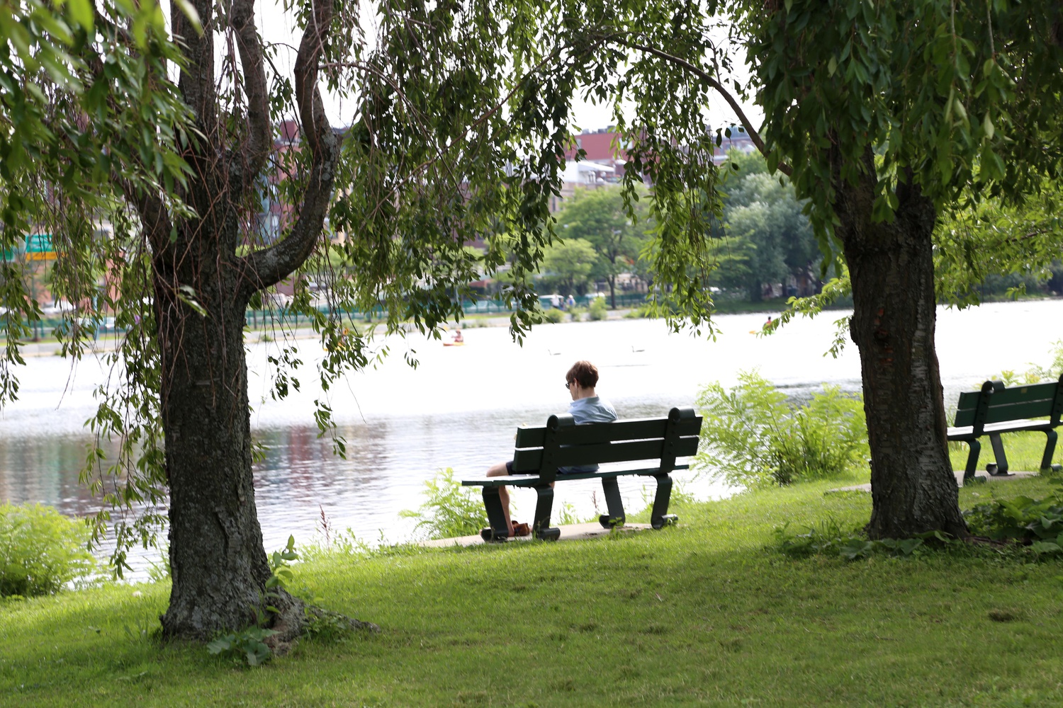 Yohann Jouin-Sellez reads a book on the Boston side of the Charles River in mid-July. A french native, he now lives in Boston.