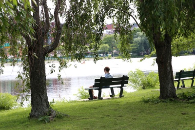 Cover image for Reading on the Bank
