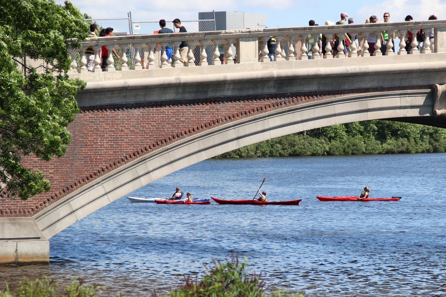 People canoe under Weeks footbridge on the Charles River in mid-June. 